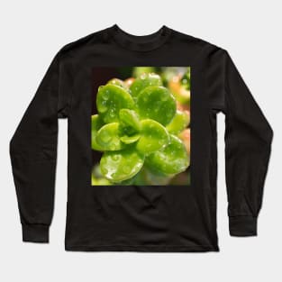 Sedum Long Sleeve T-Shirt